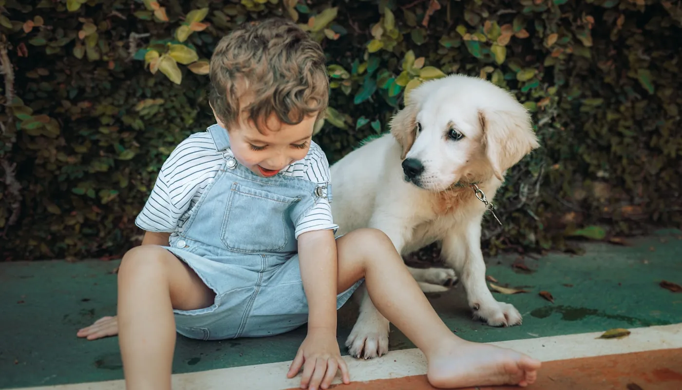 Un niño sentado junto a un cachorro de golden retriever