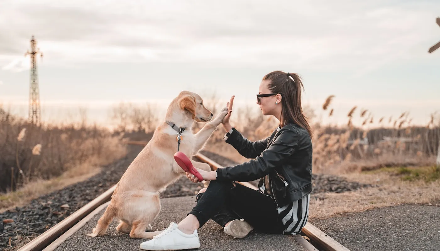 Una mujer jugando con un perro al aire libre