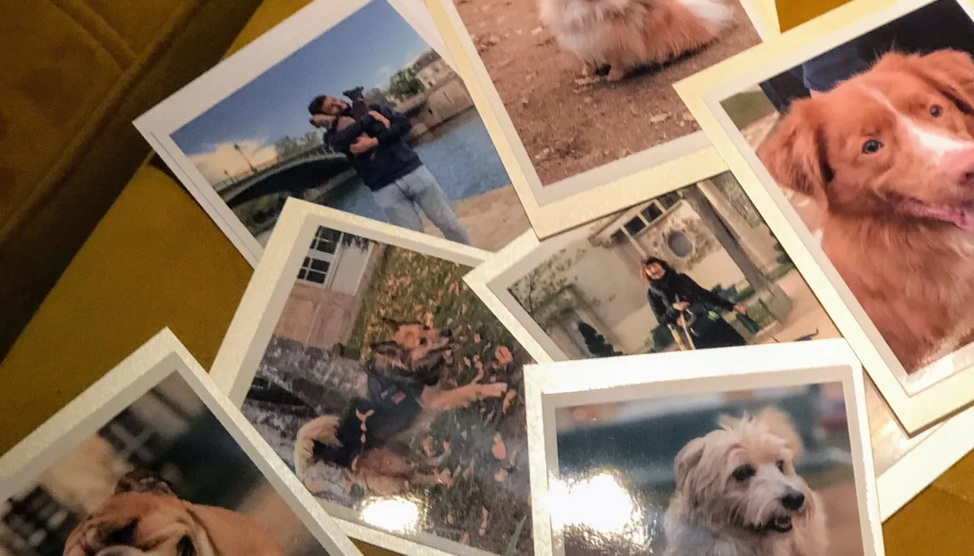 Una mesa cubierta de fotografías de un perro
