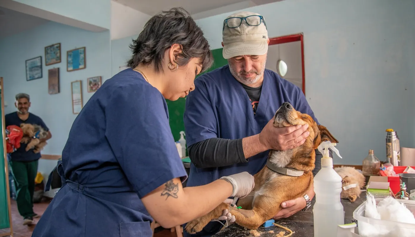 Una pareja sosteniendo a su perro en una consulta