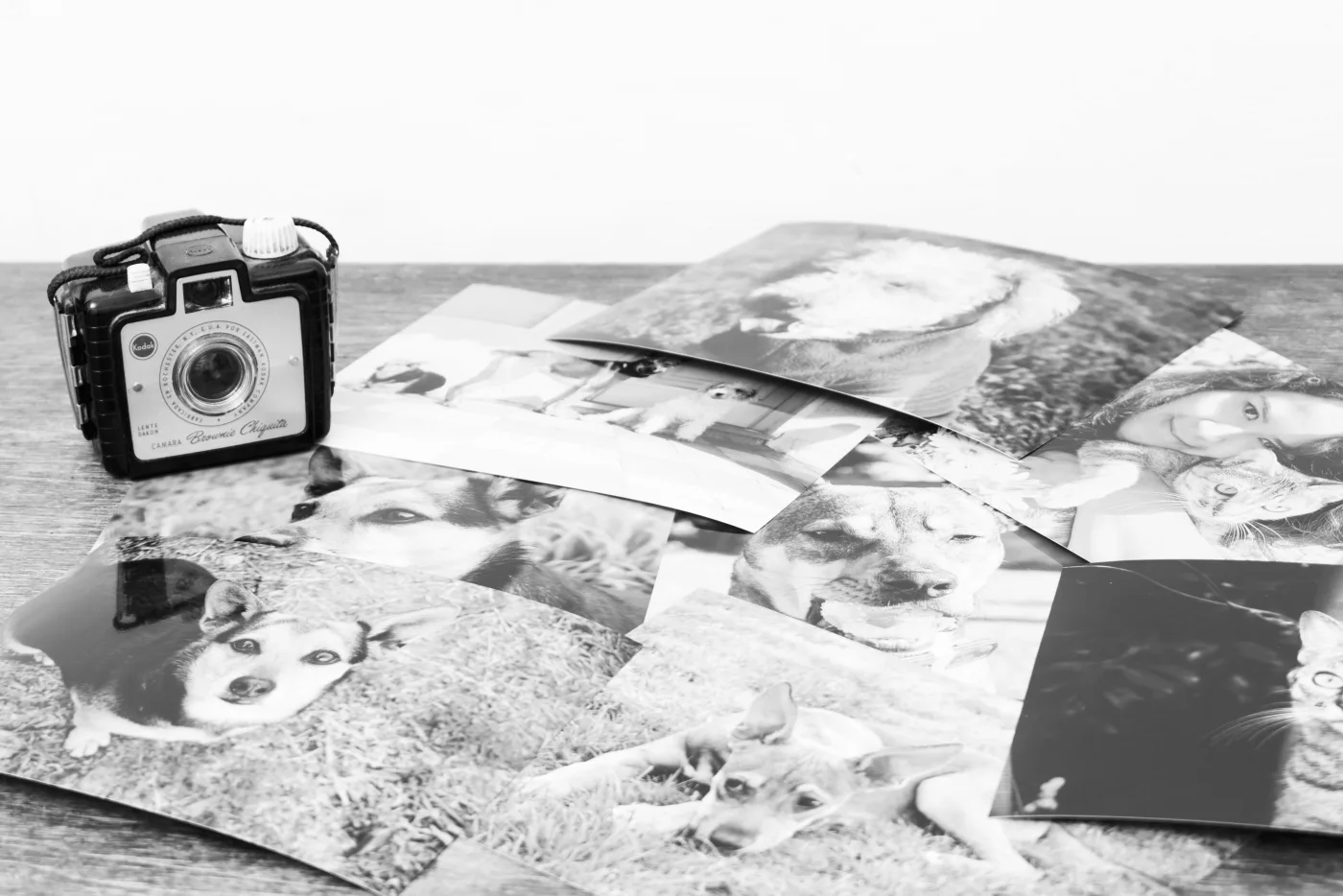 Cámara vintage junto a fotografías impresas de perros