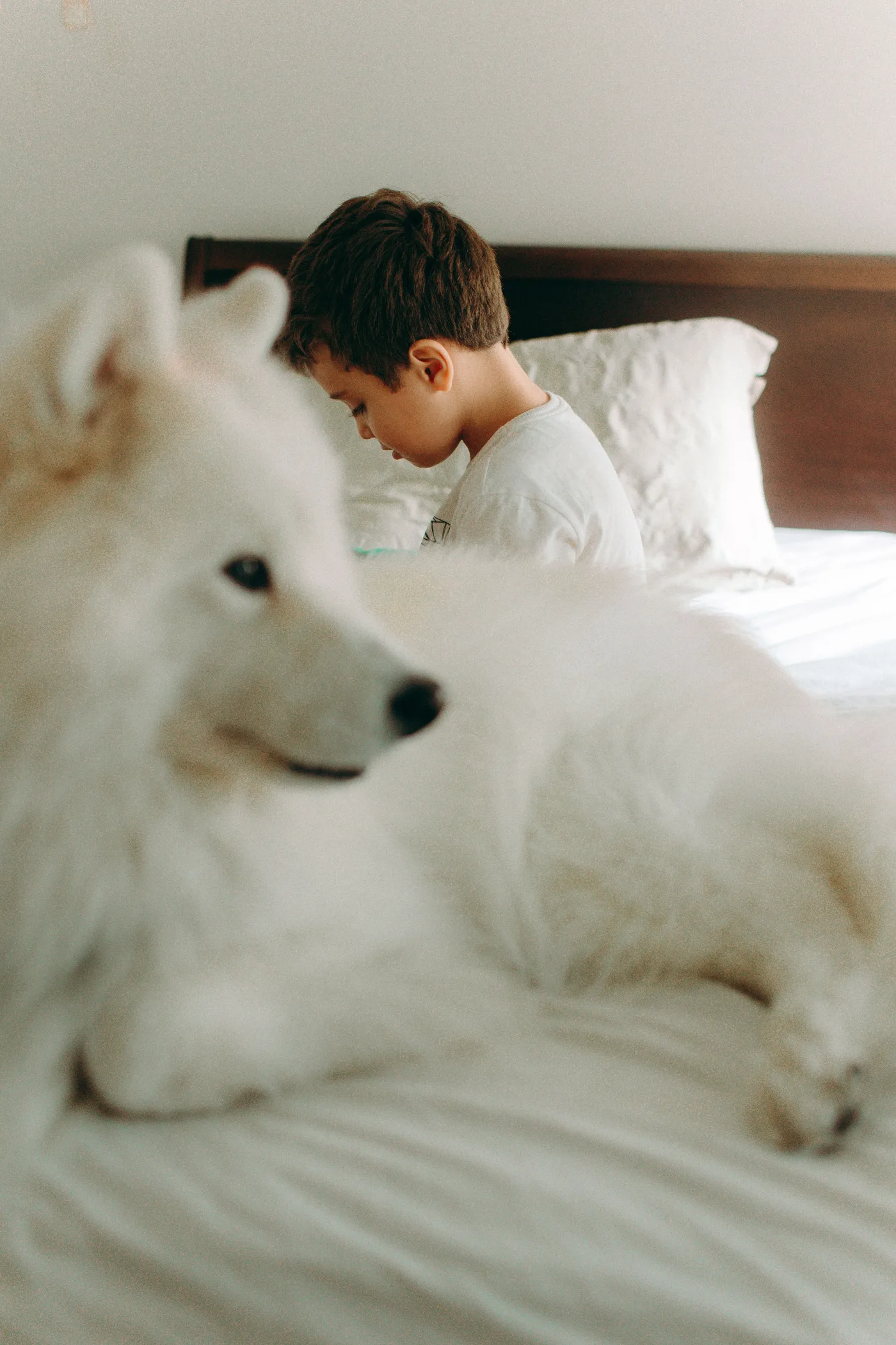 Un niño descansando junto a un perro blanco en una habitación